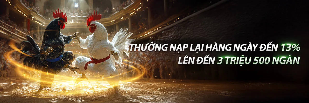 Đá gà trực tiếp Tomo: Trải nghiệm đá gà đỉnh cao